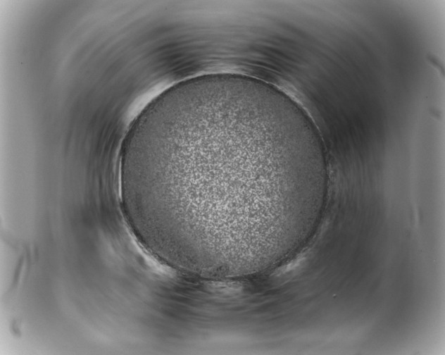 X0000100231127200805301406