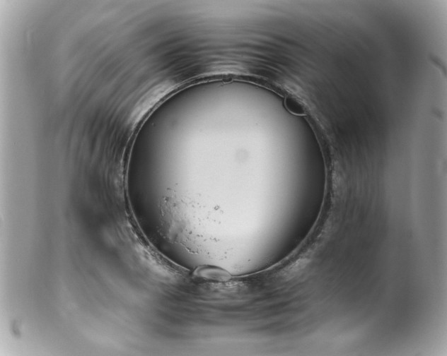 X0000100231129200805301407