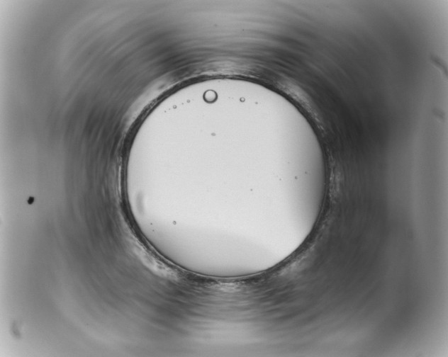 X0000100231130200805301407