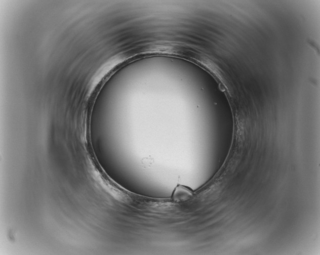 X0000100231131200805301407