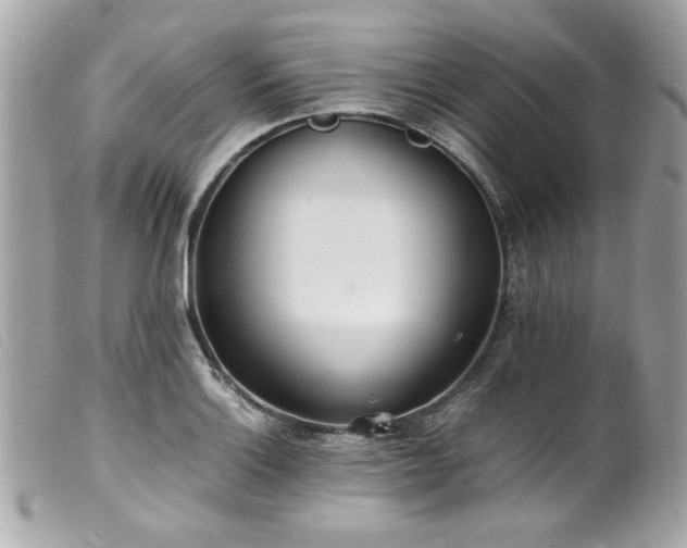 X0000100231132200805301407