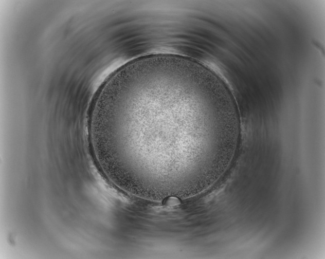 X0000100231133200805301407