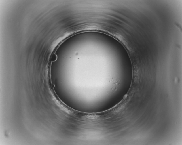 X0000100231134200805301407