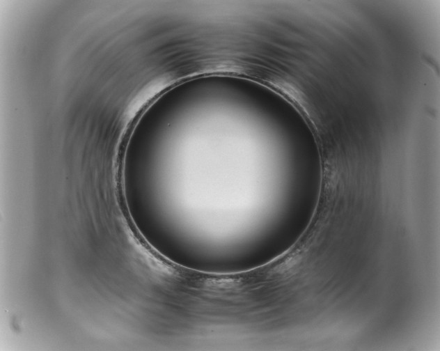 X0000100231135200805301407