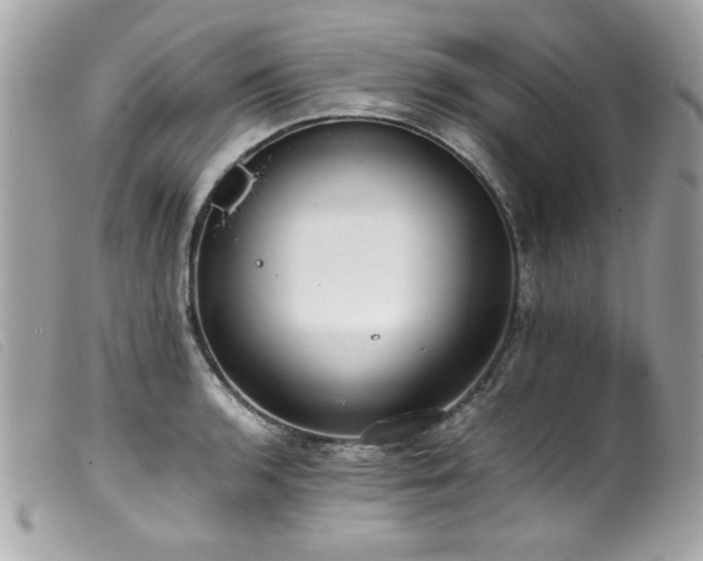 X0000100231136200805301407
