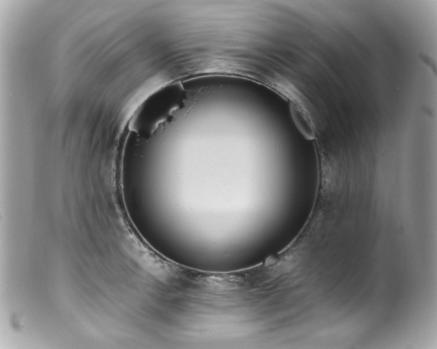 X0000100231138200805301407