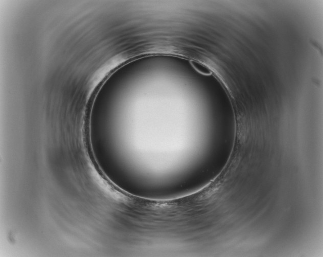 X0000100231139200805301407