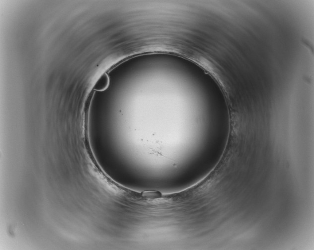 X0000100231140200805301407