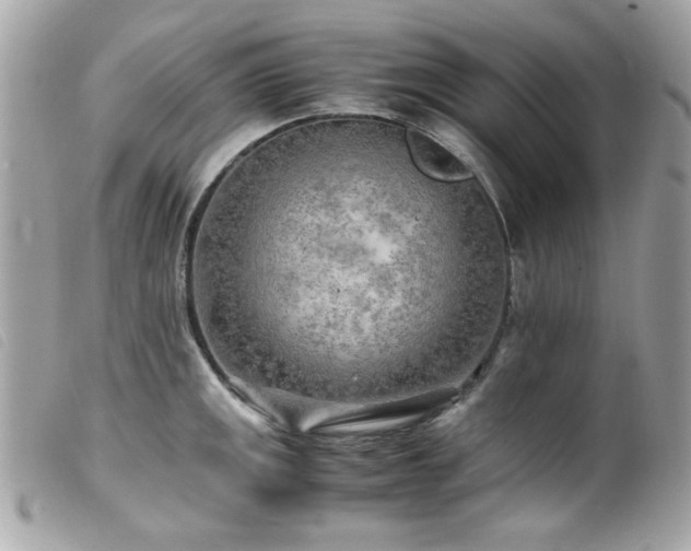 X0000100231141200805301407