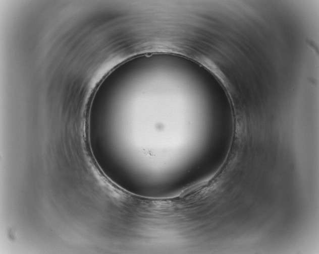 X0000100231144200805301407