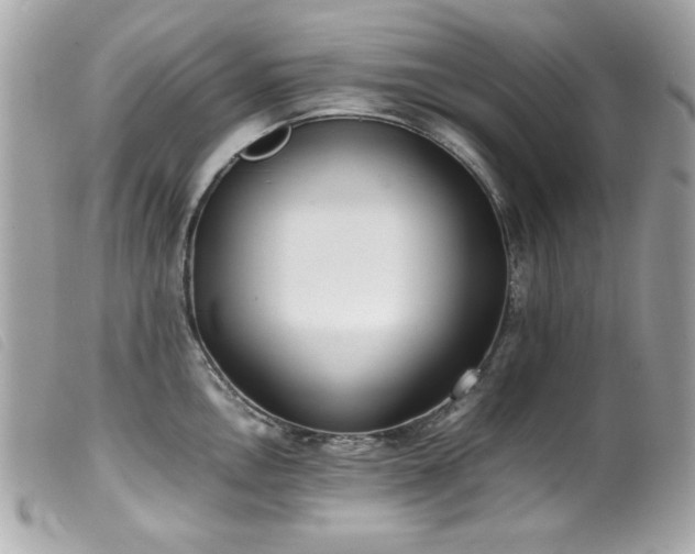 X0000100231146200805301407