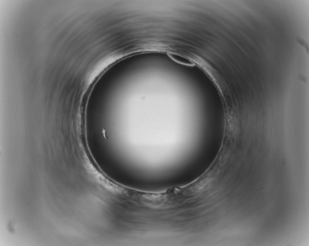 X0000100231147200805301407