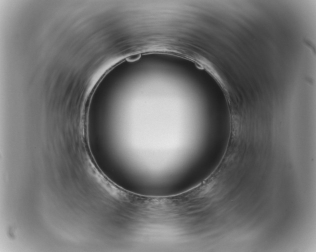 X0000100231148200805301407