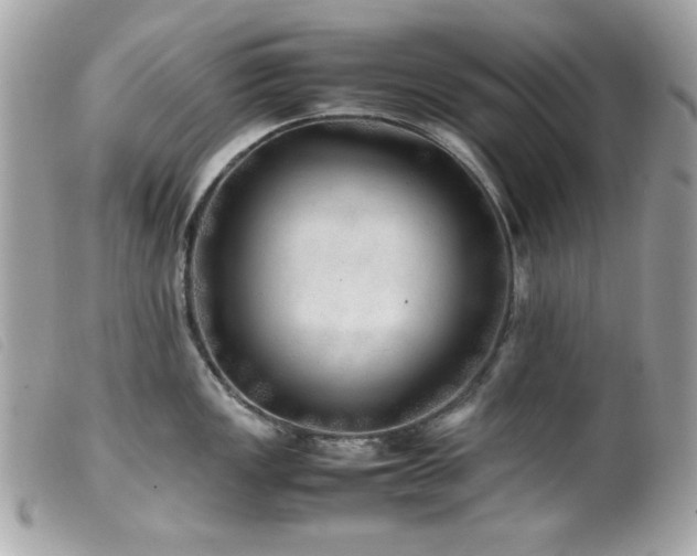 X0000100231149200805301407
