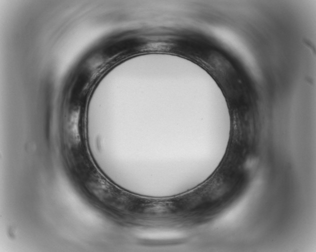 X0000100231150200805301407