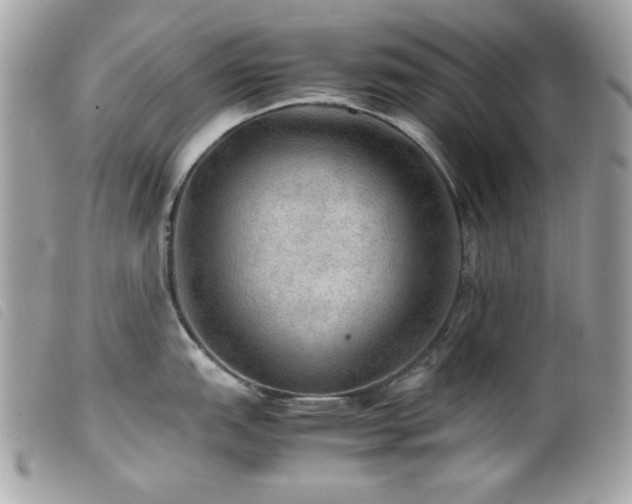 X0000100231151200805301407