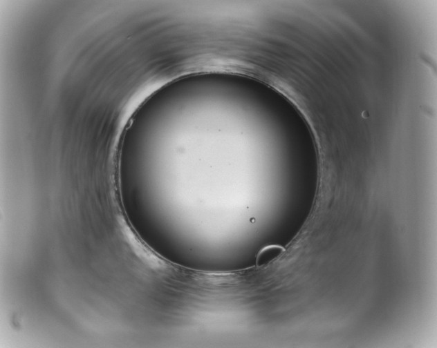 X0000100231152200805301407
