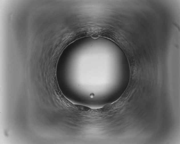 X0000100231153200805301406
