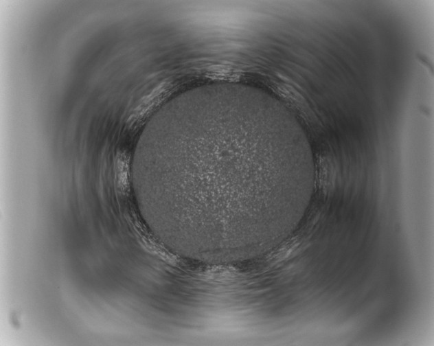 X0000100231154200805301406