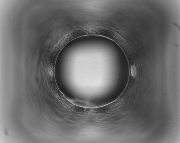 X0000100231155200805301406