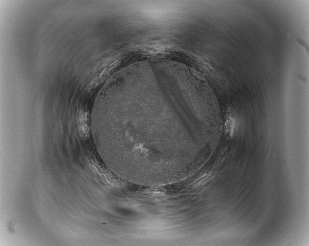 X0000100231156200805301406