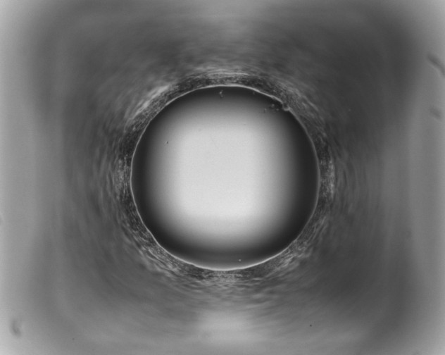 X0000100231157200805301406