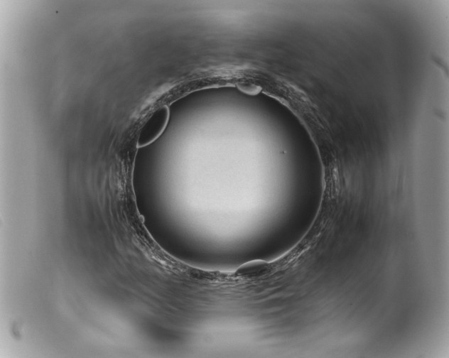X0000100231158200805301406
