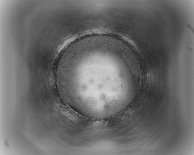 X0000100231160200805301406