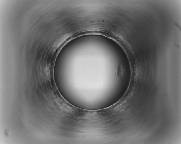 X0000100231162200805301406