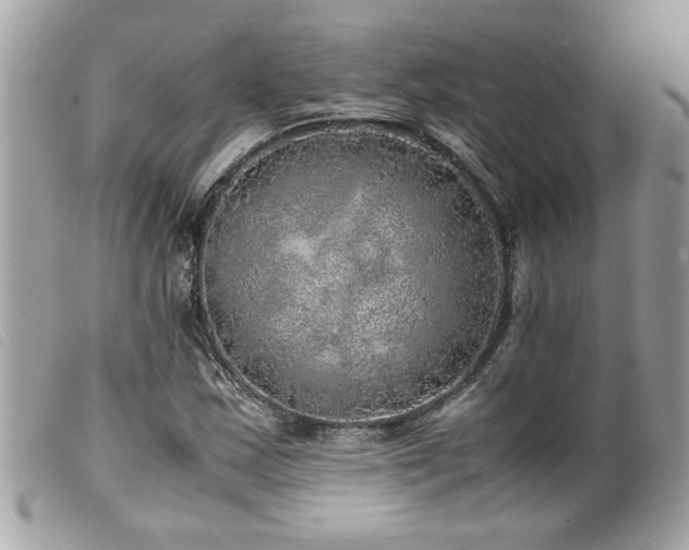 X0000100231163200805301406