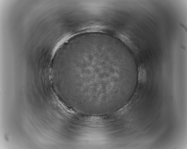 X0000100231164200805301406