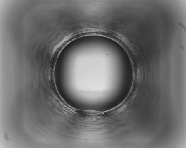 X0000100231165200805301406