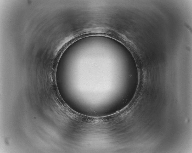 X0000100231166200805301406
