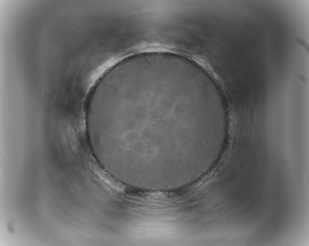 X0000100231167200805301406