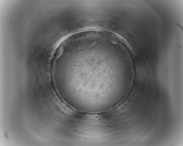 X0000100231168200805301406