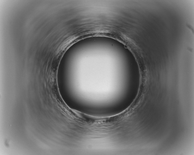 X0000100231169200805301406