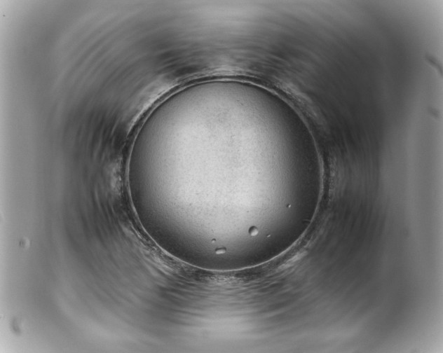 X0000100231170200805301406