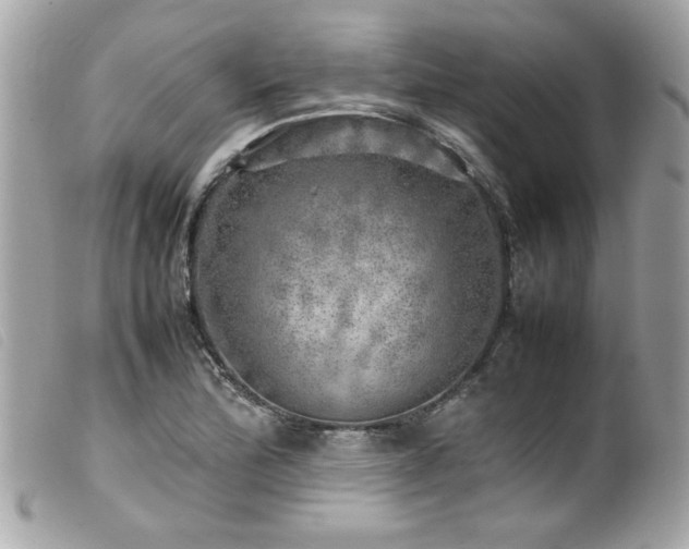 X0000100231172200805301406