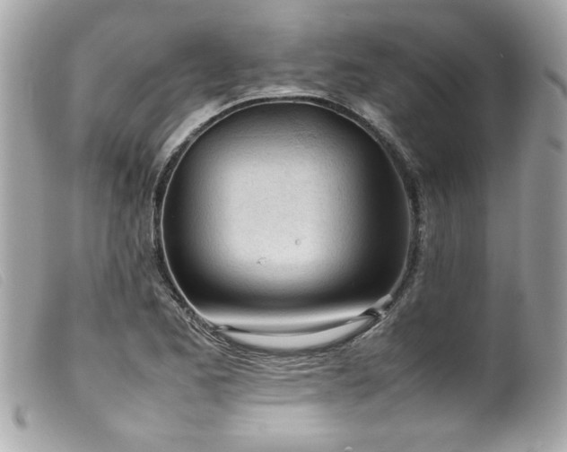 X0000100231173200805301406