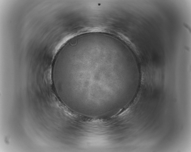 X0000100231174200805301406
