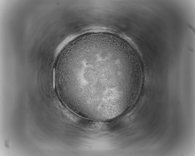 X0000100231175200805301406