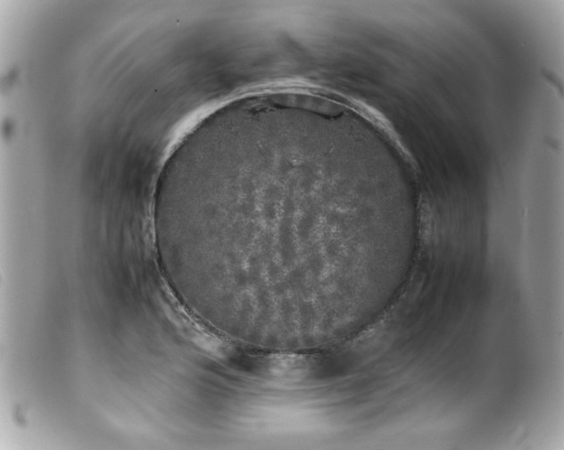 X0000100231176200805301406