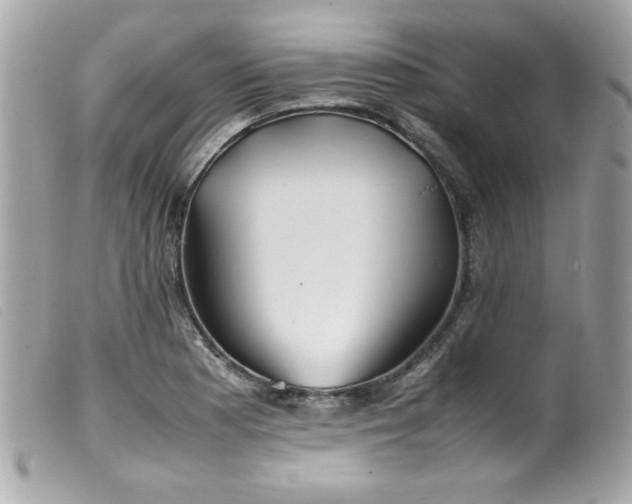 X0000100231177200805301406