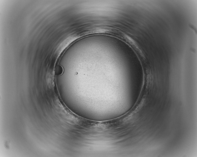 X0000100231178200805301406