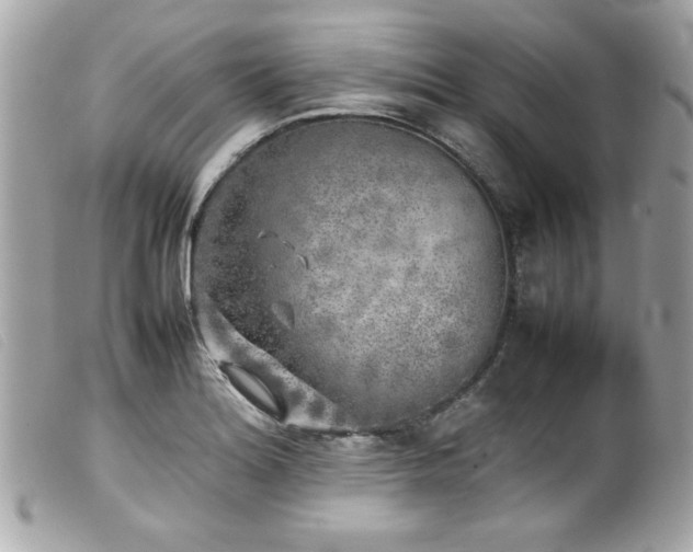 X0000100231180200805301406