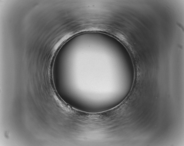 X0000100231181200805301406