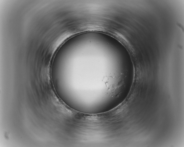 X0000100231182200805301406