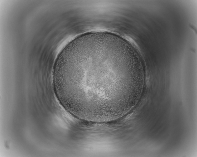 X0000100231183200805301406