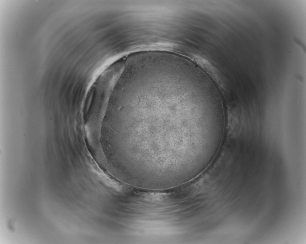 X0000100231184200805301406