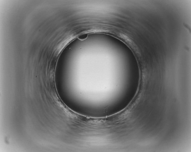 X0000100231185200805301406
